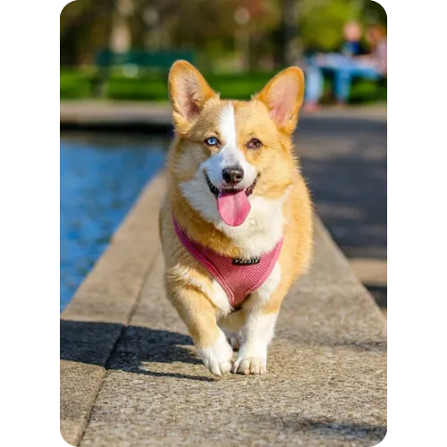 Home 19 Skincare product 5